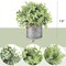 Small Fake Plants in Farmhouse Galvanized Metal Pots 3 Pack Potted Artificial Plant Eucalyptus for Laundry Room Bathroom Shelf Table Decor